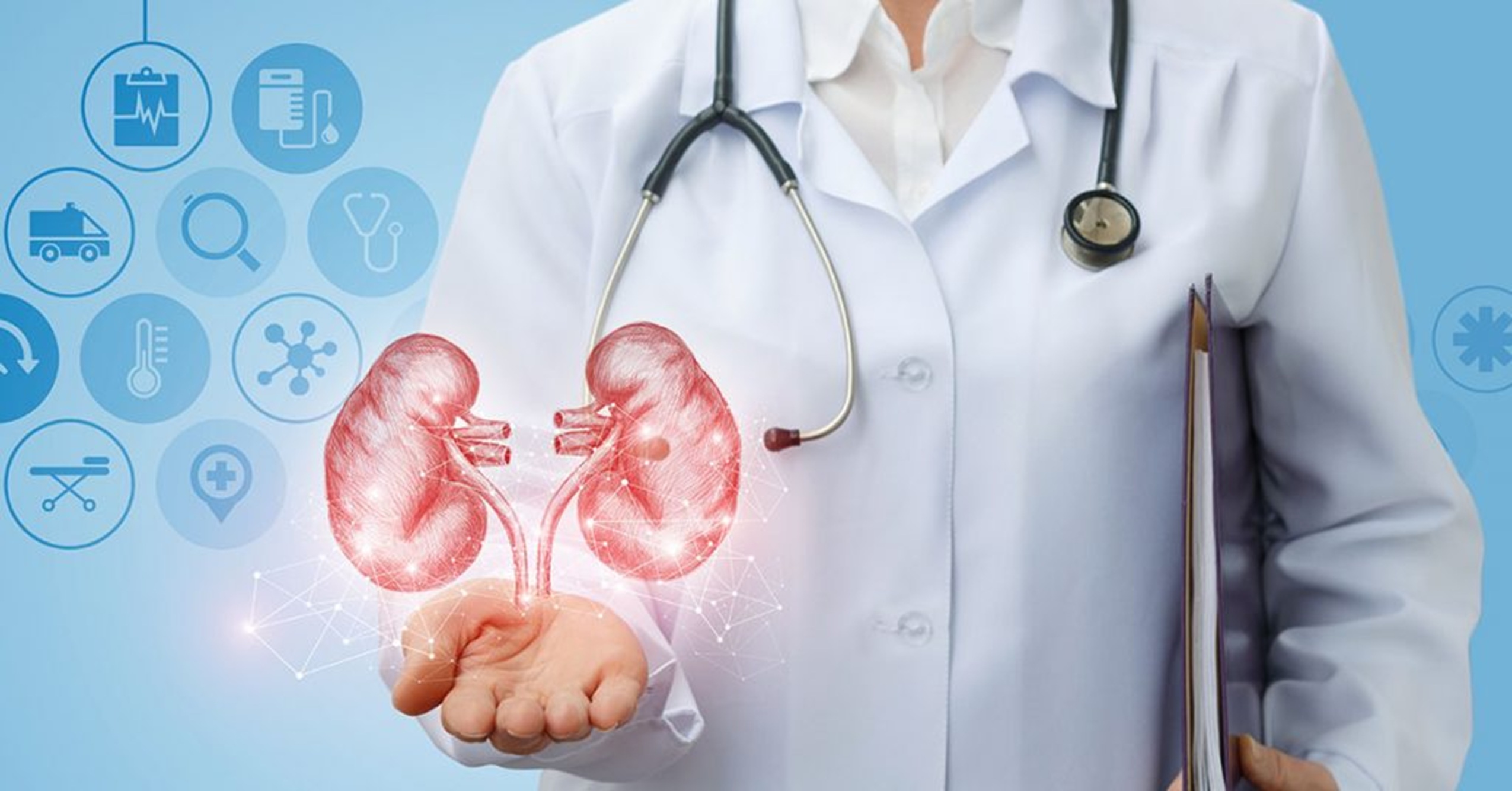 Nephrology